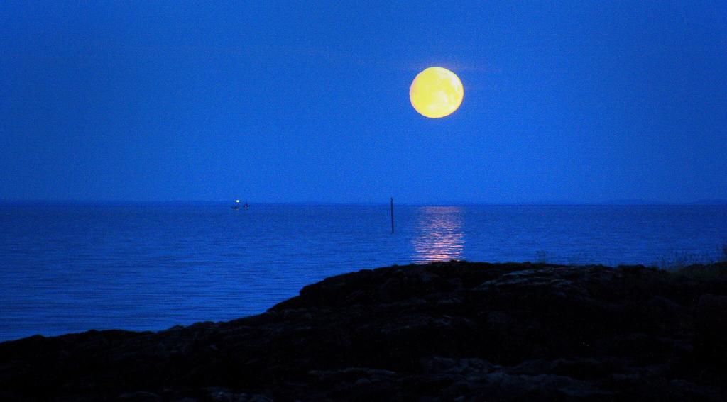 Cape East Homestay Ytre Kiberg エクステリア 写真
