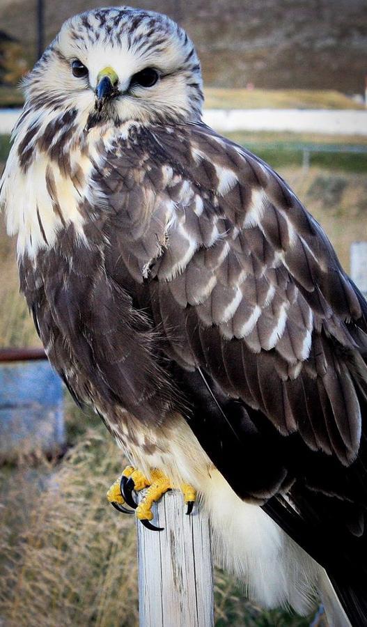 Cape East Homestay Ytre Kiberg エクステリア 写真